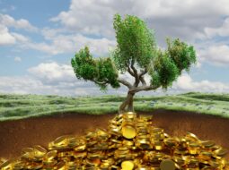 Long-Term Wealth